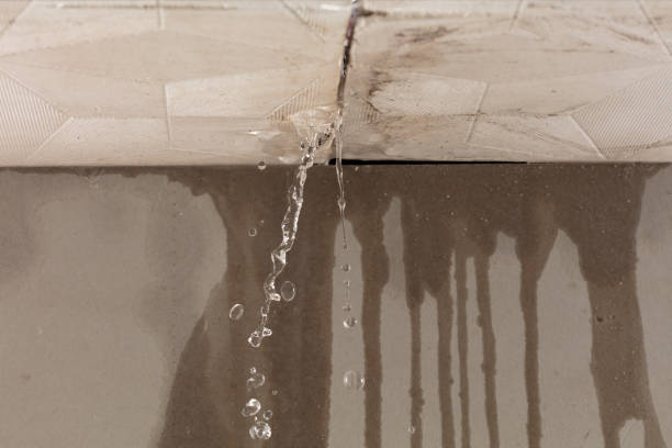 Professional Flood Damage Cleanup technician working in Forestville, PA